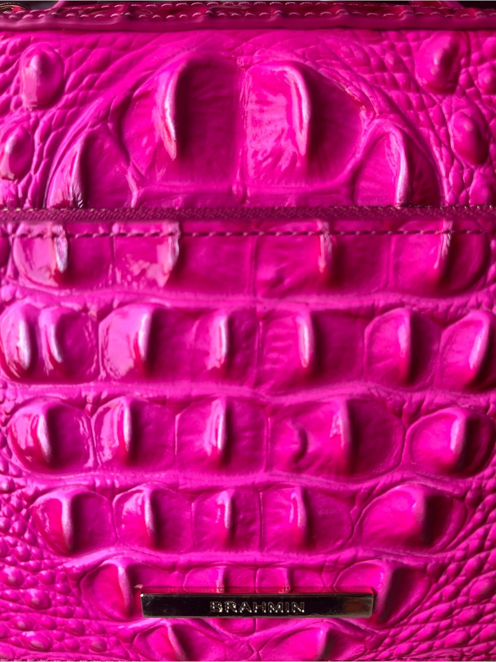 NWT BRAHMIN TORI in AFFECTION MELBOURNE OMBRE - Picture 13 of 17